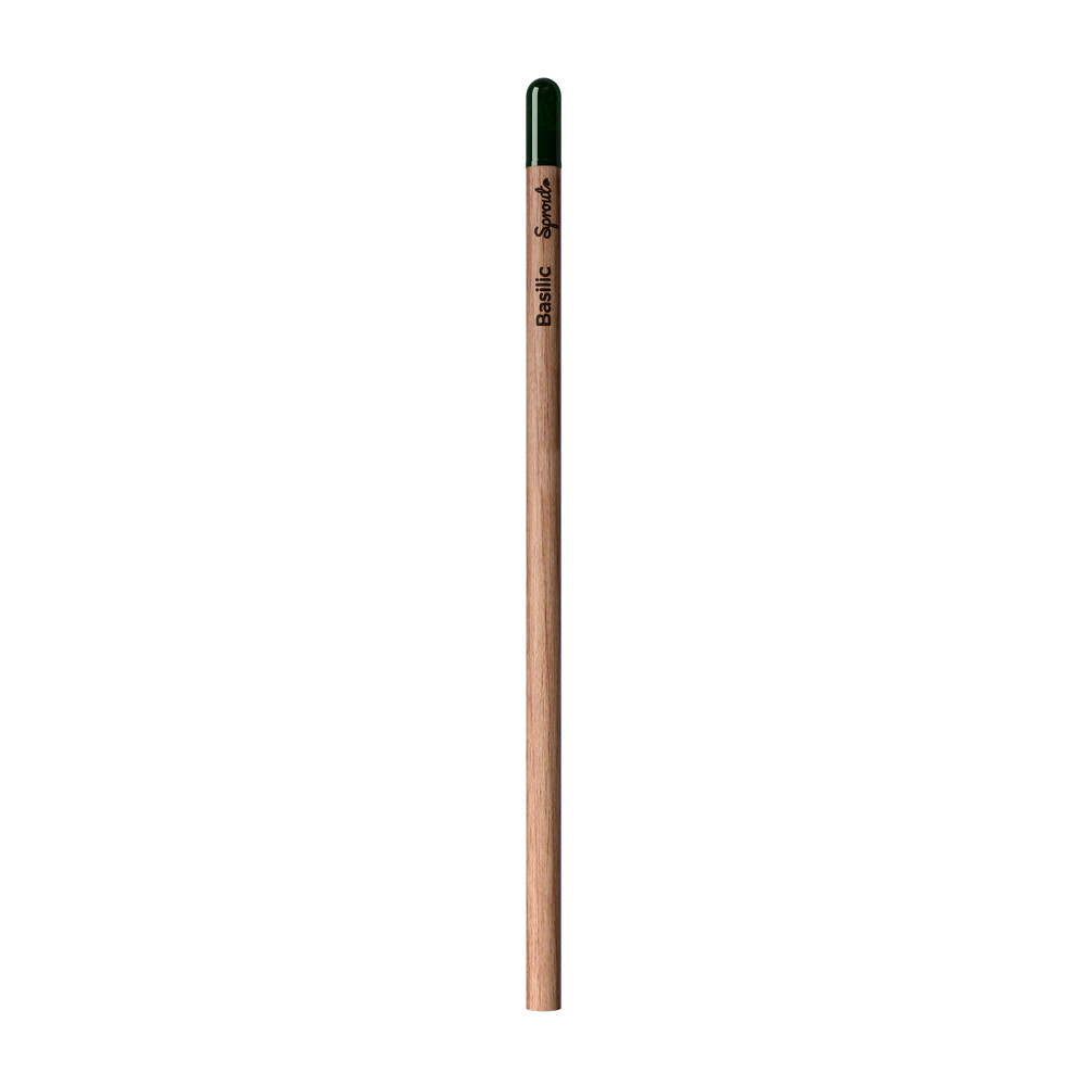 Sprout | Pencil - Basil Written In French