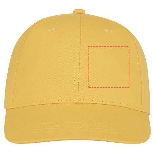 Ares 6 panel cap