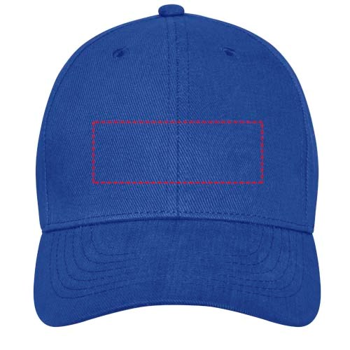 Davis 6 panel cap