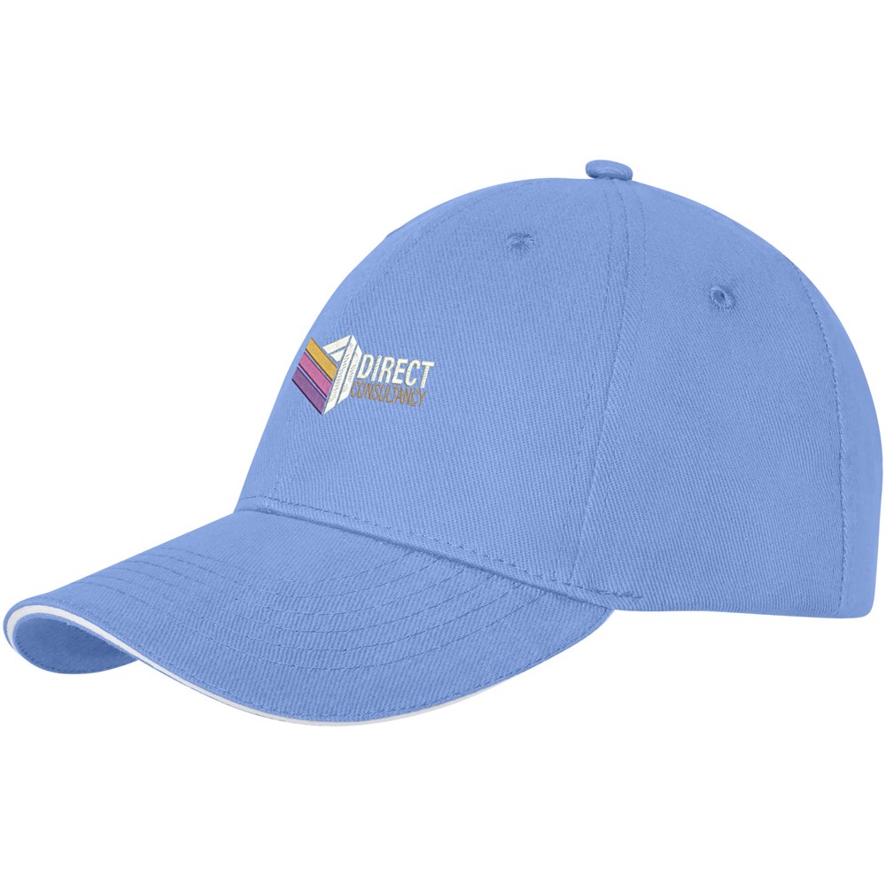 Darton 6 panel sandwich cap