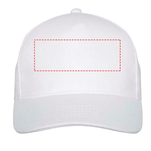 Doyle 5 panel cap