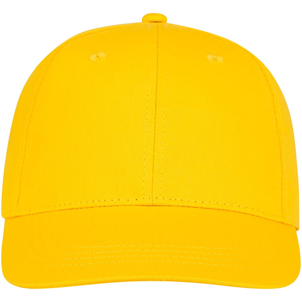 Ares 6 panel cap