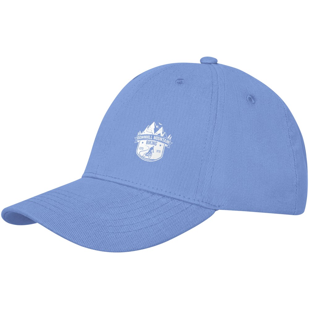 Davis 6 panel cap