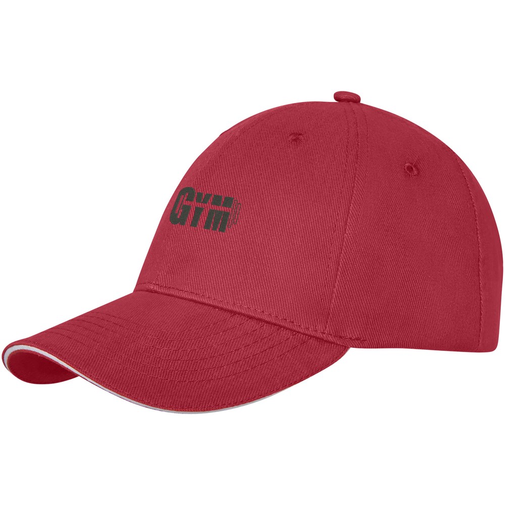 Darton 6 panel sandwich cap