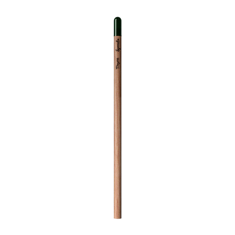 Sprout | Pencil - Thyme Written In French